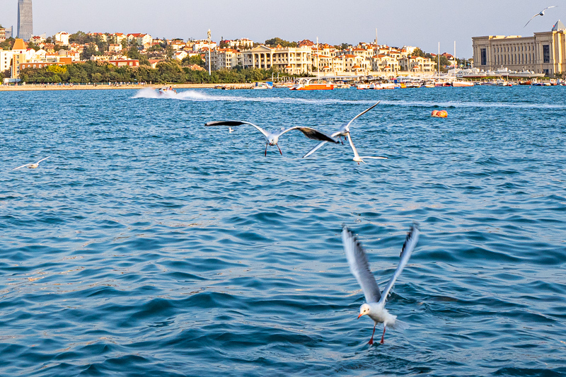 日語成都導游怎么說的好聽(成都日語導游詞)