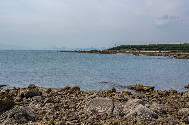 成都當地導游團推薦地點(成都當地導游團推薦地點在哪里)