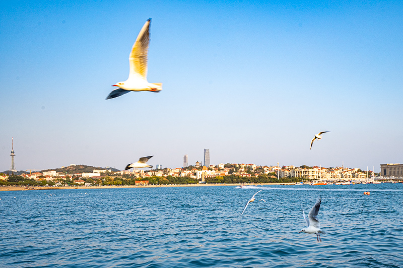 成都高校導游專業(學導游去哪個學校)