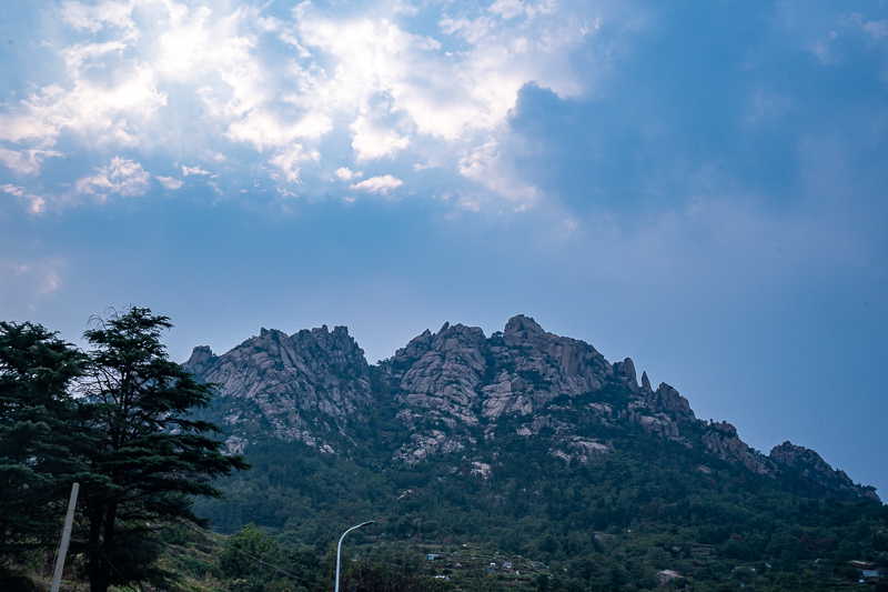 成都旅游導游跟團(去成都旅游是自由游還是跟團游)