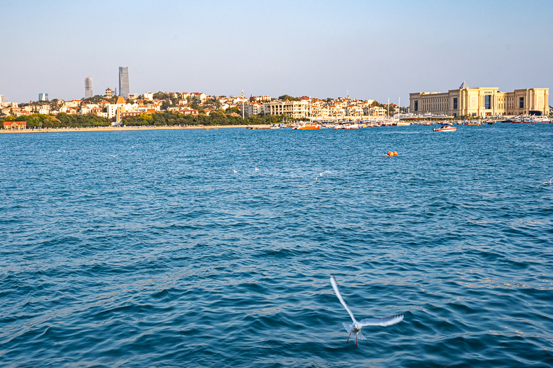 重慶導(dǎo)游金佛山(網(wǎng)上介紹的重慶導(dǎo)游可信嗎)