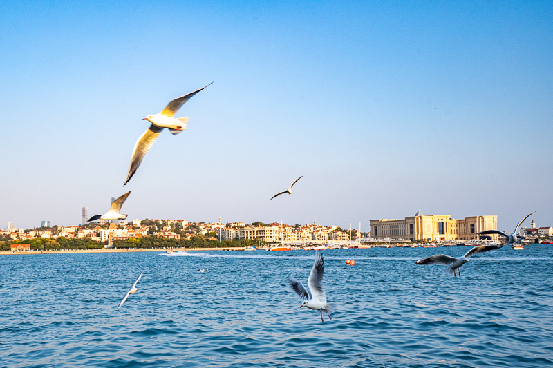 重慶導游藏族(關(guān)于重慶云陽導游詞)