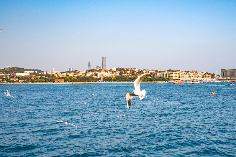重慶當地導游聯系方式查詢電話(重慶當地導游聯系方式查詢電話是多少)