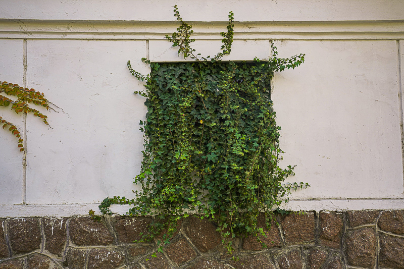 山東到廣東中山要多久 山東威海游玩攻略
