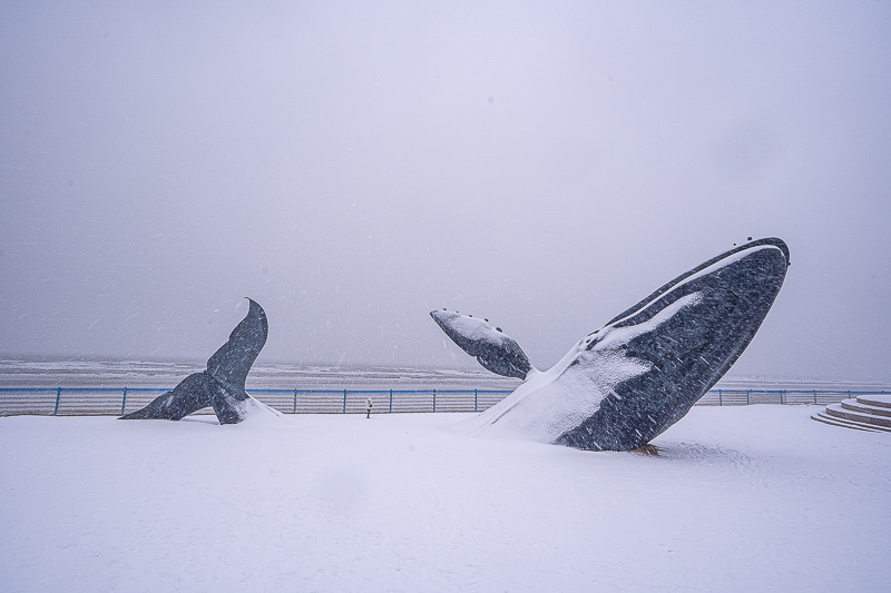 威海哪里好玩，威海周邊游玩的地方