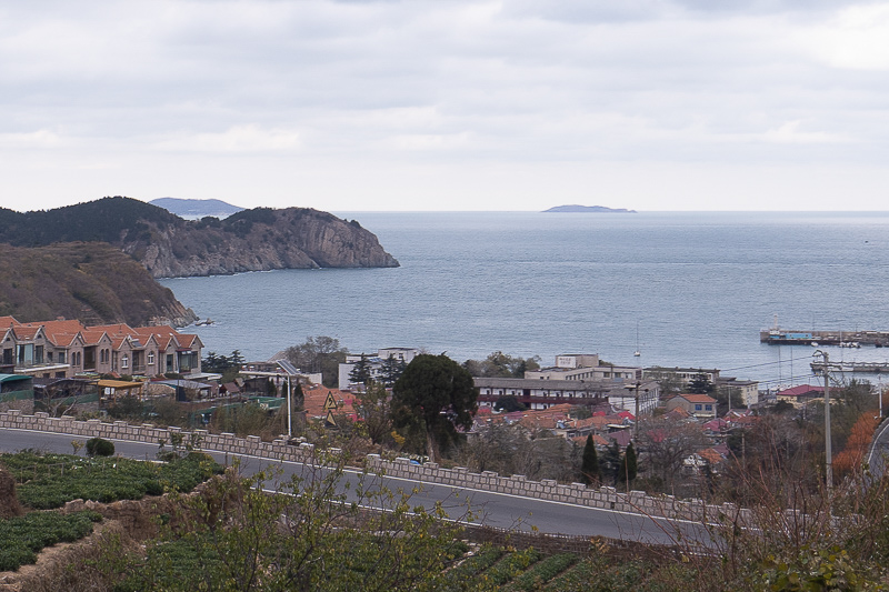 龍海到廈門(mén)島內(nèi)包車(chē)(龍海到廈門(mén)島內(nèi)包車(chē)電話)