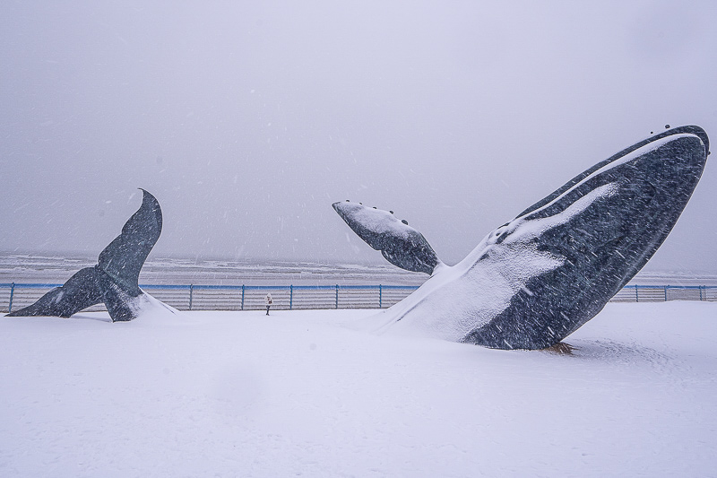 永清土樓診所電話 永清縣土樓村的歷史來歷