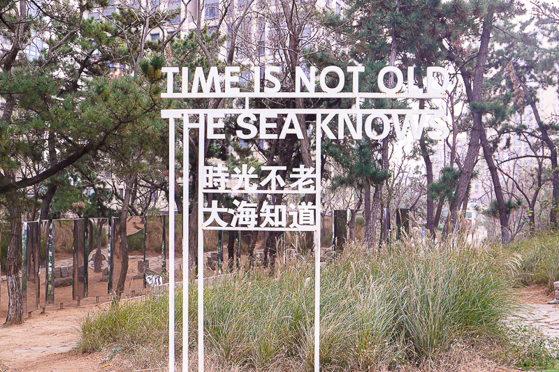 贊大唐芙蓉園景色的詞？西安當地導游怎么找