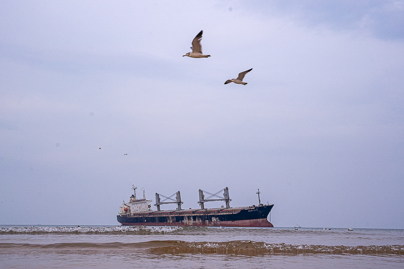 西安私人導游哪里找？西安旅游作文