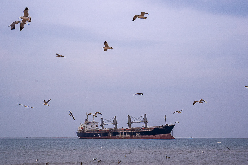 青島海邊美麗景點推薦(青島海邊美麗景點推薦理由)