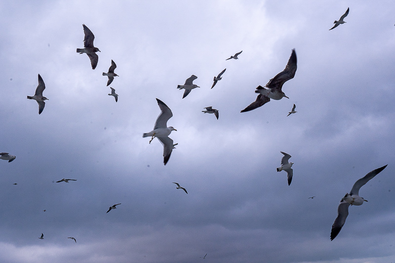青島旅游幾號地鐵方便些，青島旅游地鐵路線