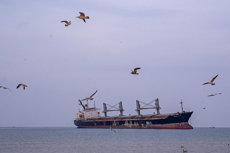 青島新開發(fā)的旅游景區(qū)(青島新開發(fā)的旅游景區(qū)在哪里)