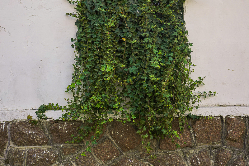 青島惠民旅游線路 青島惠民旅游線路推薦