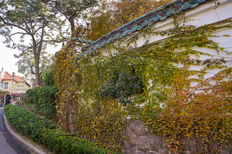 江門旅游攻略青島(江門島嶼旅游)