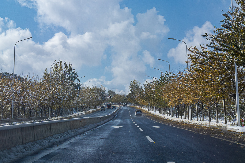 青島去順德旅游？青島去順德旅游路線