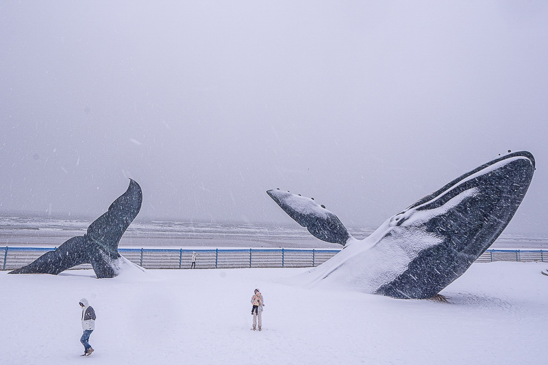 山東暑假旅游青島攻略？山東暑假旅游青島攻略一日游